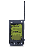 Palm VII